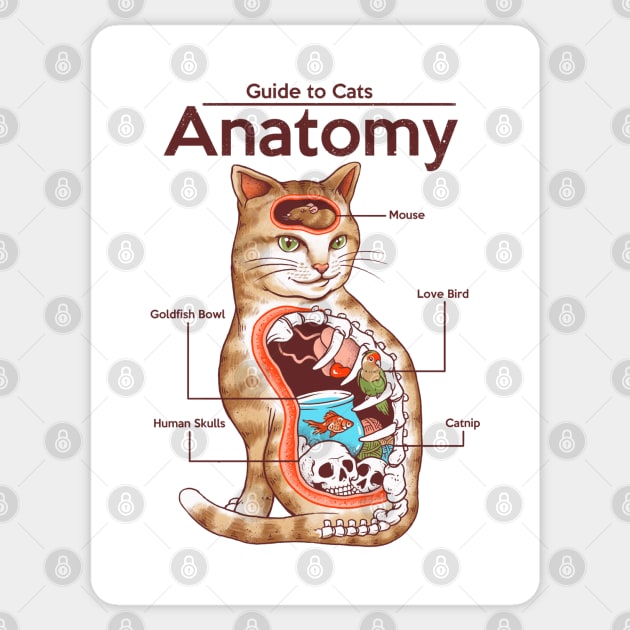 Anatomy of a Cat Sticker by Vincent Trinidad Art